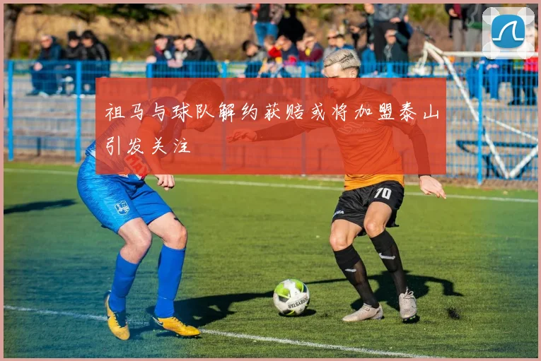 祖马与球队解约获赔或将加盟泰山引发关注