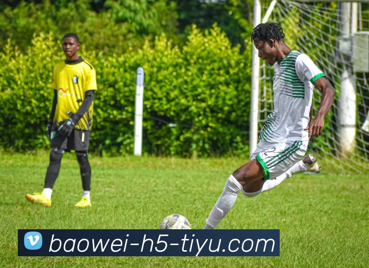 App Interface Preview