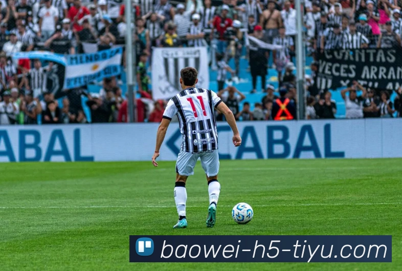 宝威体育APP 封面图